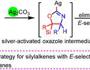 韩满意教授、汪鹏博士在organic chemistry frontiers上发表论文